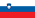 Slovenian User Manual